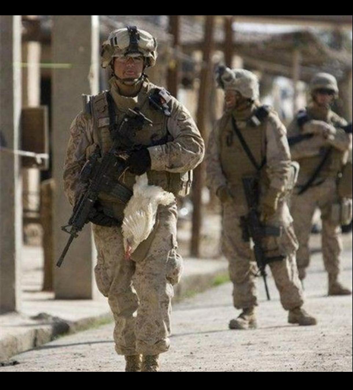 欧盟将伊朗伊斯兰革命卫队列为恐怖组织了，标准是，迎合美国。
    伊朗的伊斯兰