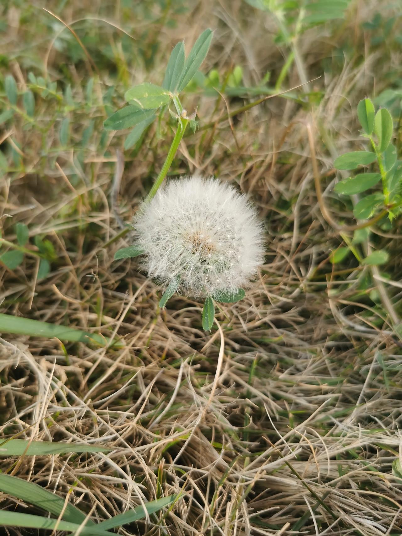 昨天我才悟到这个理：少说话，多挣钱。[祈祷]
很有意思的。
