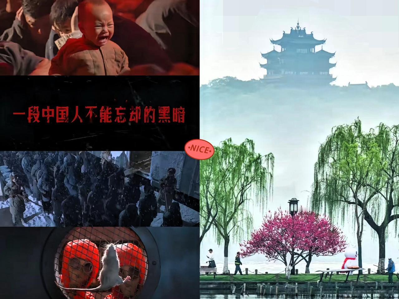 看得我热血沸腾，
日本投降后，
杭州人把西湖樱花全砍了，一朵不留

日本投降后，