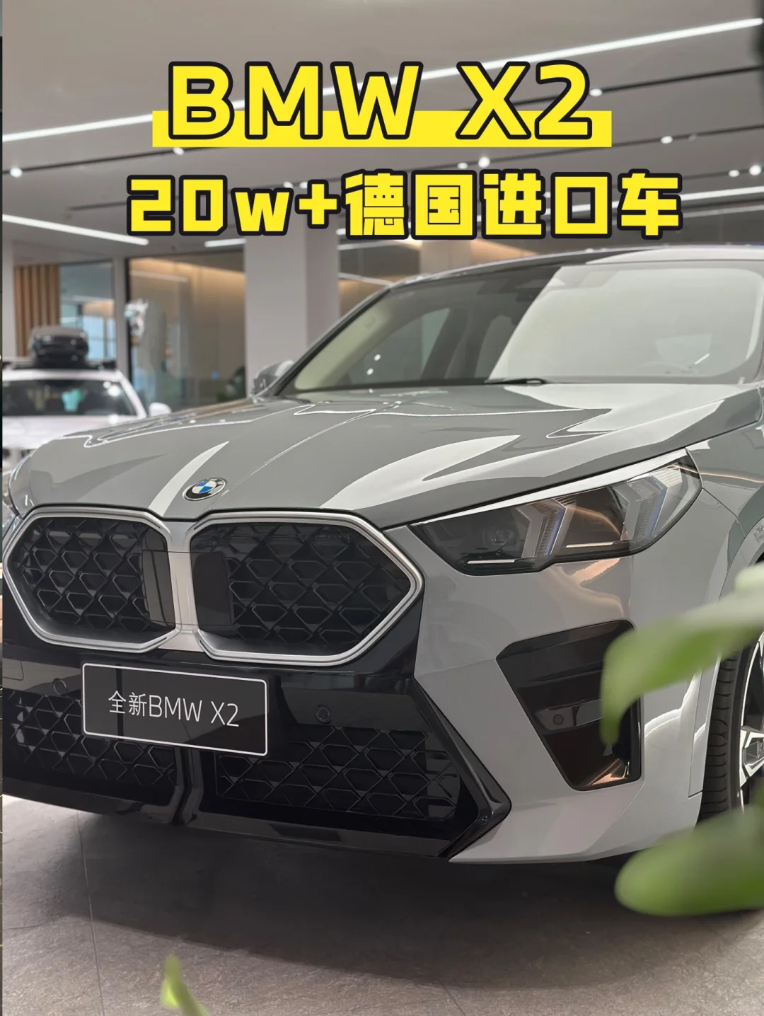20w+德国纯血进口X2，独此一份