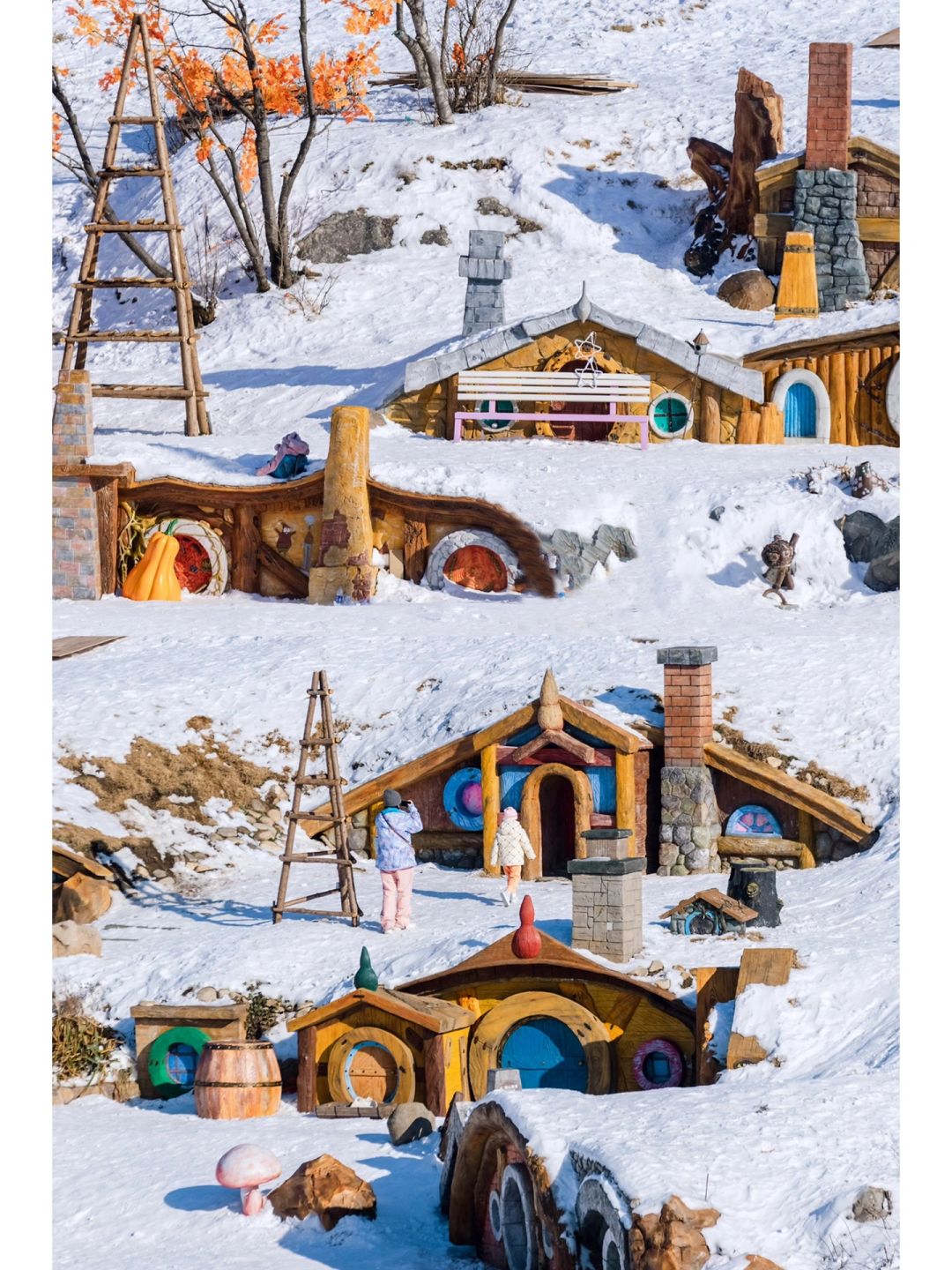 在浙江‼️好像闯入了冰雪里的童话世界❄️