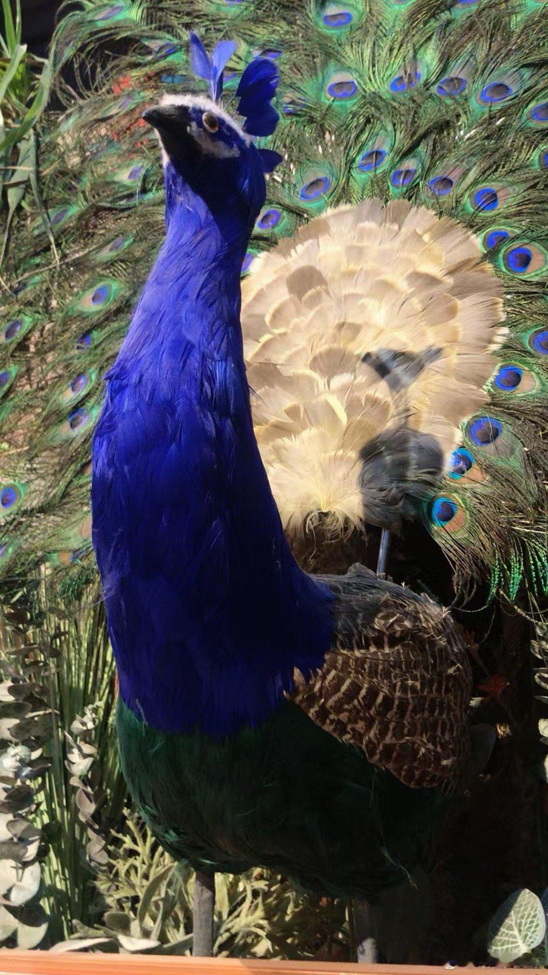 努力的目的不是为了鹤立鸡群，优秀的人也不是天生就为了鹤立鸡群；而是为了天鹅振翅飞