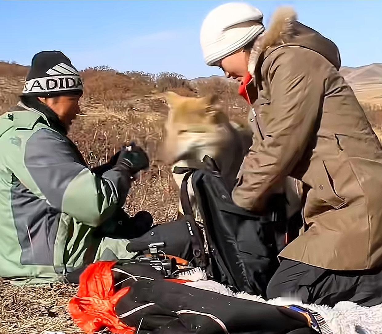 十年后才看懂，《重返狼群》里最惨的不是小狼格林，而是那个叫亦风的男人。
女主一句