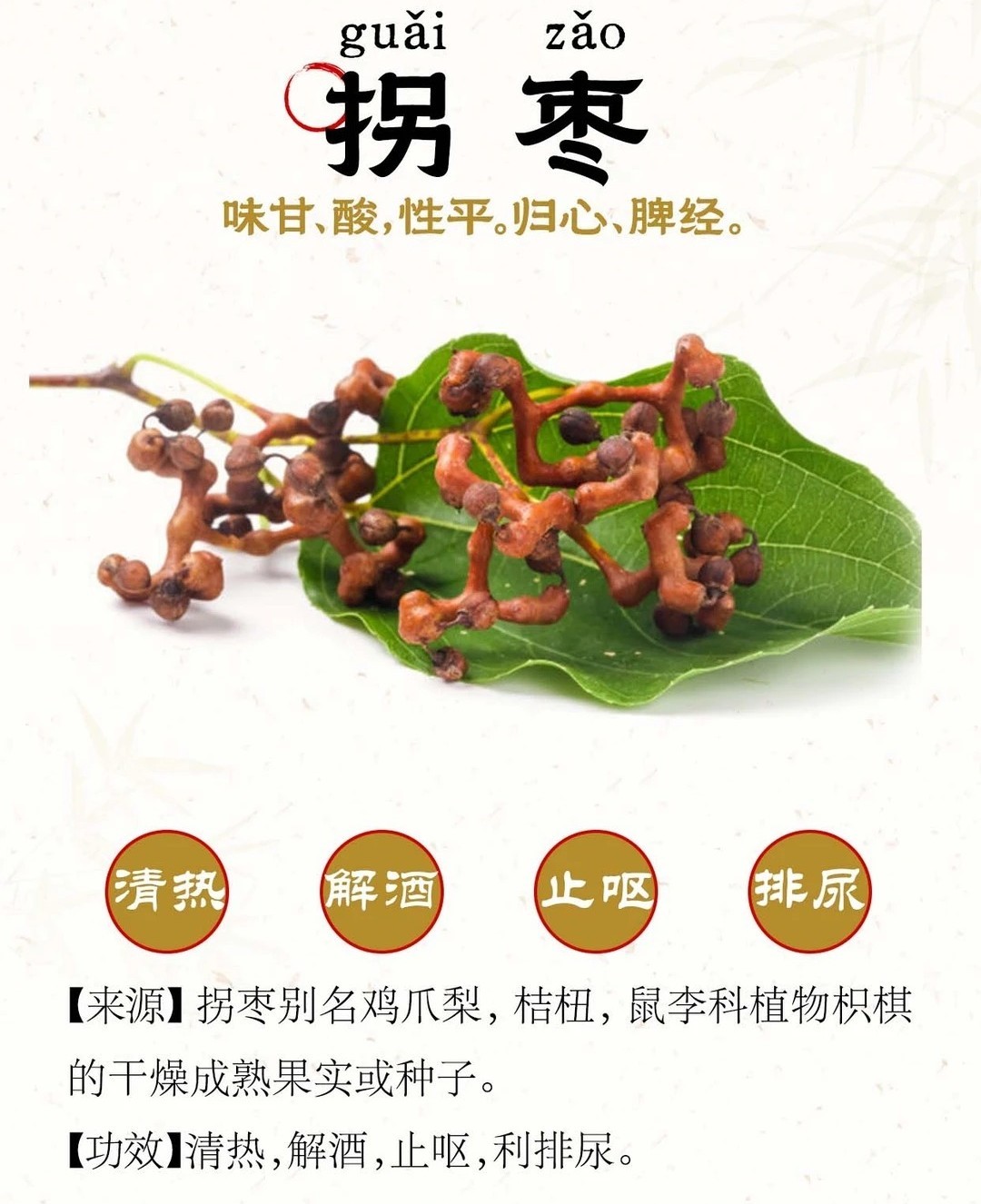 被时代淘汰的水果 你听说过拐枣吗？很多人第一次见它都会愣住：这弯弯曲曲的褐色“树