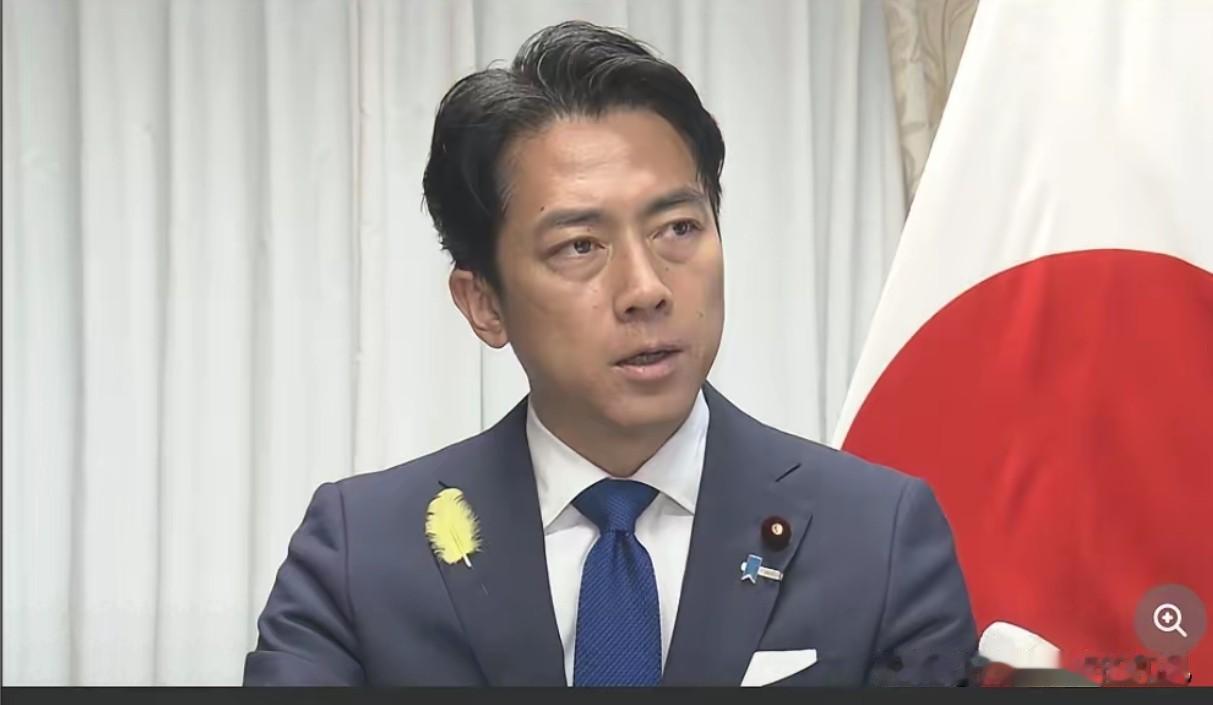 6月30日，日本防卫大臣小泉进次郎对中方追加对20家企业和机构的做法，做出了日方