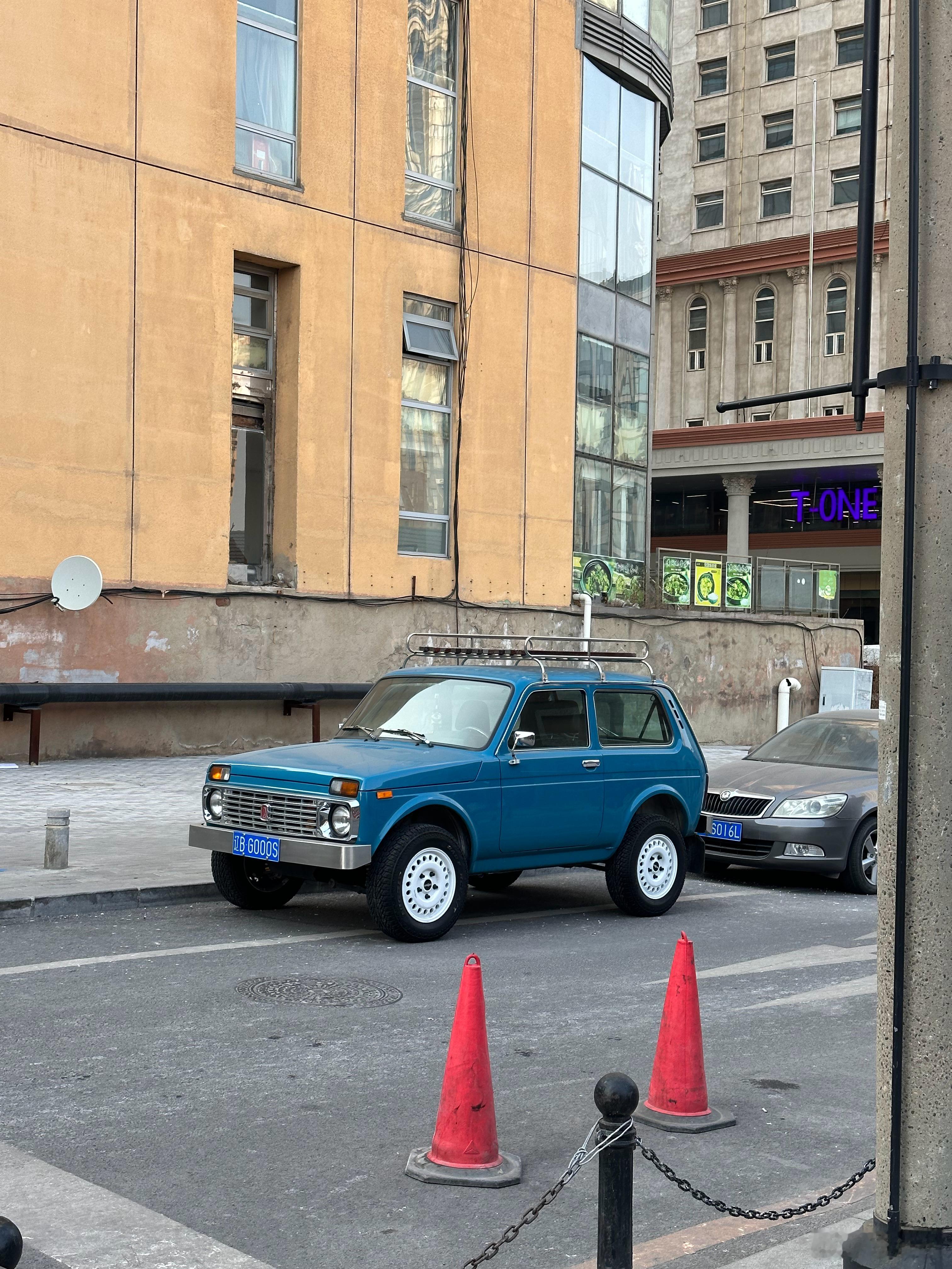 走文艺范的拉达 好看