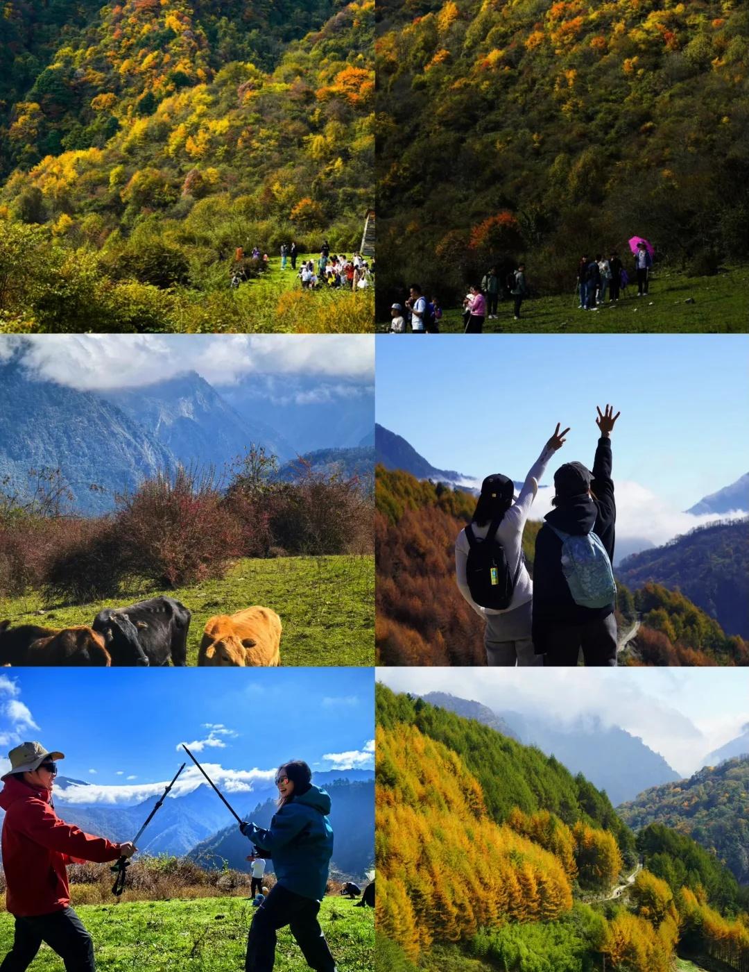 高山牧场🐄彩林峡谷🍂——老鸭山赏秋～
10🈷️23/25/26车程近，彩林
