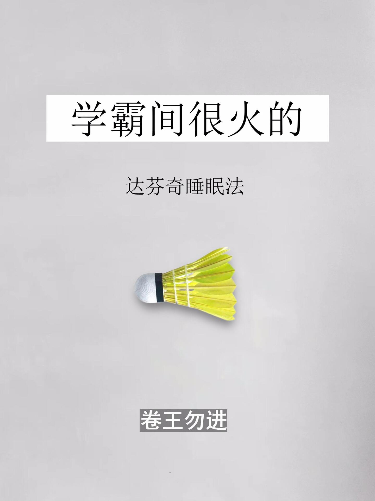 学习方法-达芬奇睡眠法。