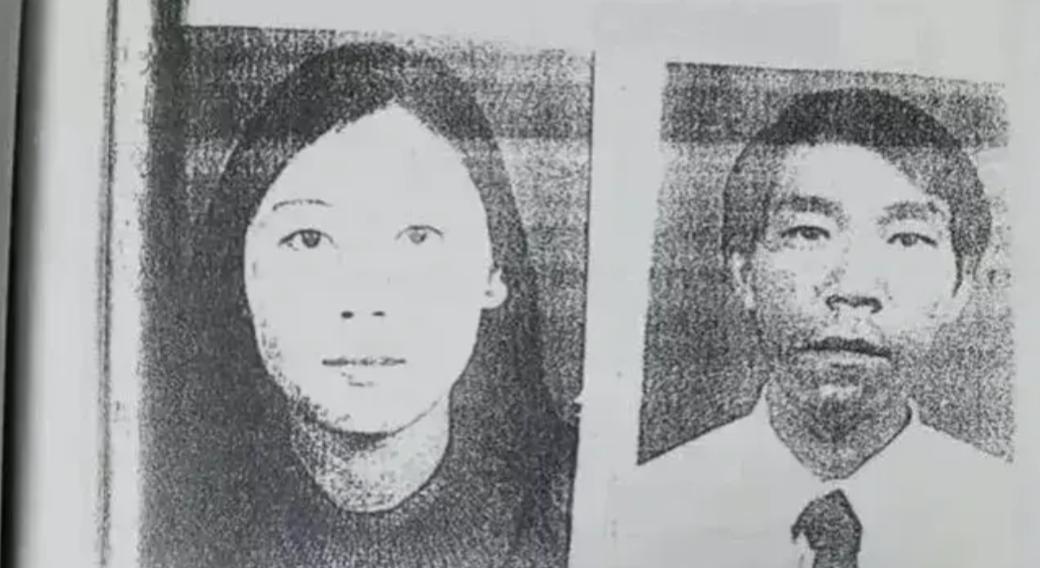 二十多年前，在南昌发生了一场充满阴谋和残忍的灭门大案，由劳荣芝和法子英主导。这对