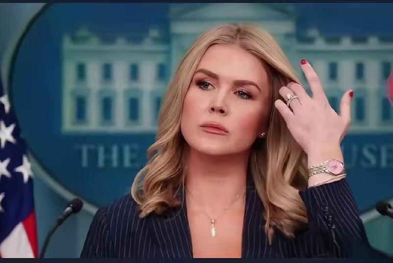 美国表态中日关系！

特朗普日前公开表扬白宫发言人卡洛琳·莱维特，说她脸蛋很漂亮