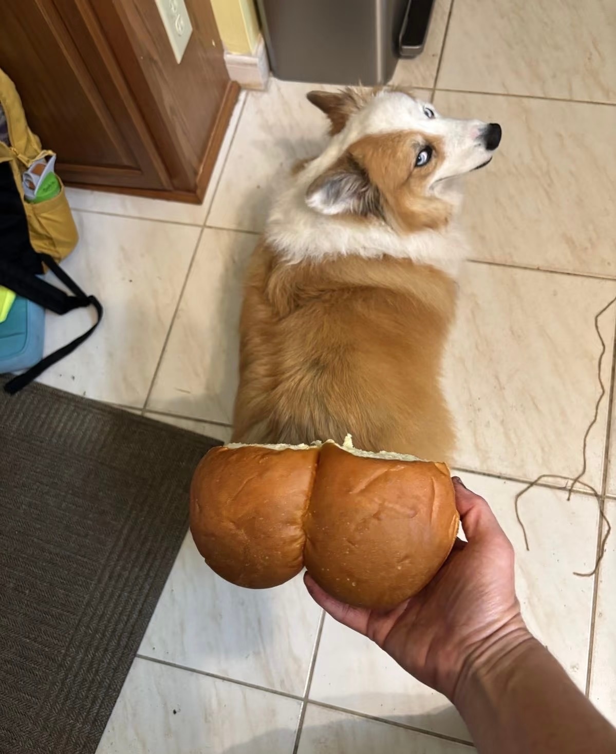 人，你是不是觉得你很幽默 ​​​