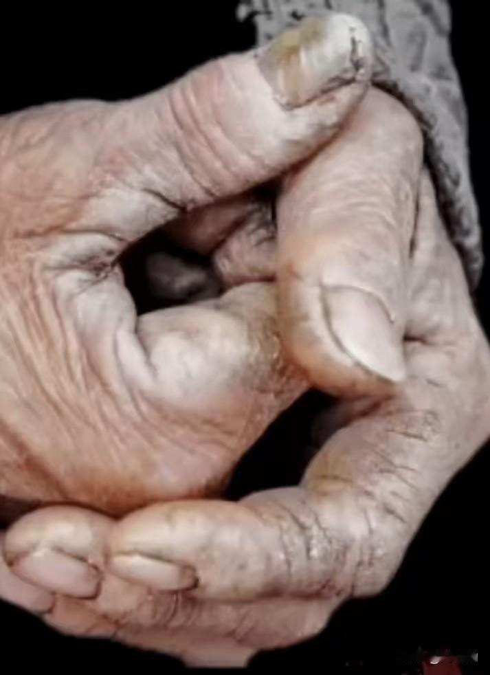 总说自己不是牛马，可职场黑话早就出卖了真相。换工作叫“跳槽”，仿佛在两个食槽间挑