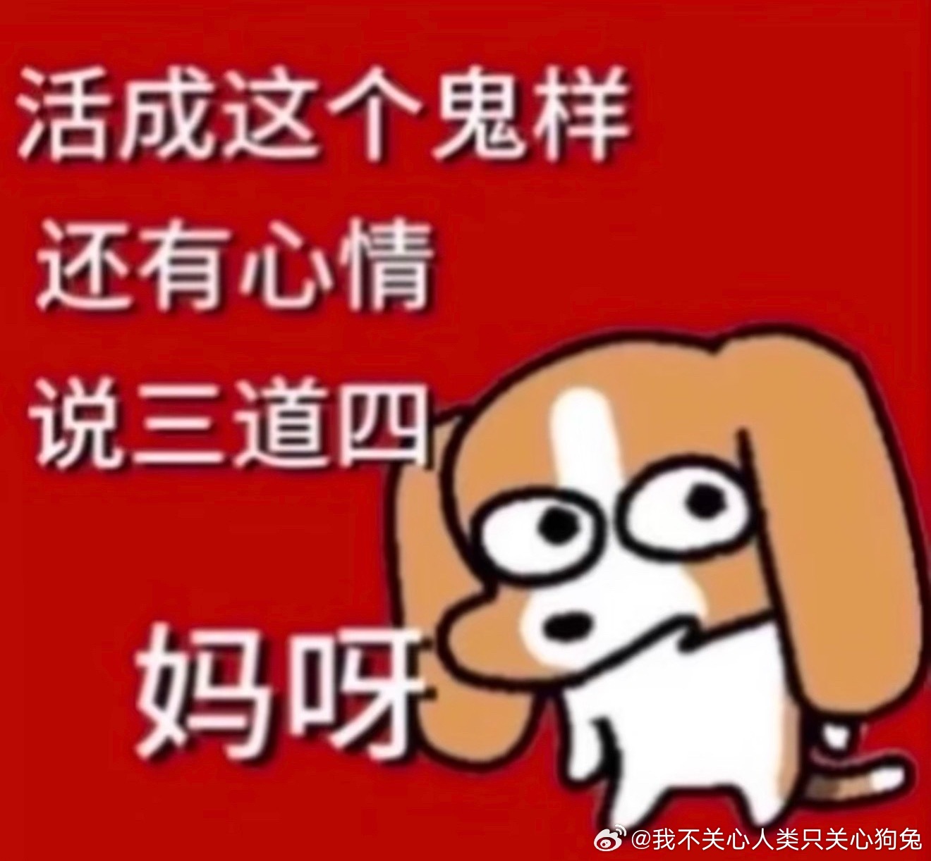 分享图片 