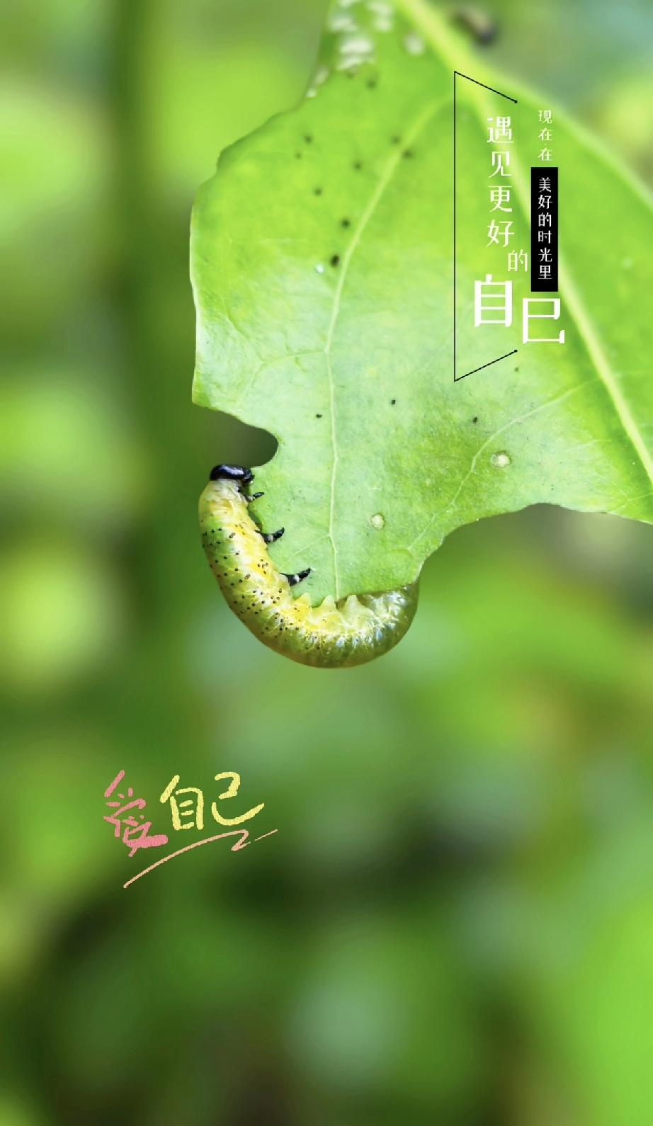 就像文案里说的“只有创造，才是真正的享受，只有拼搏，才是充实的生活”。我们得努力