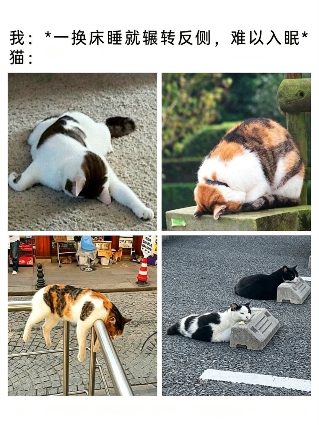 随时随地大小睡 ​​​