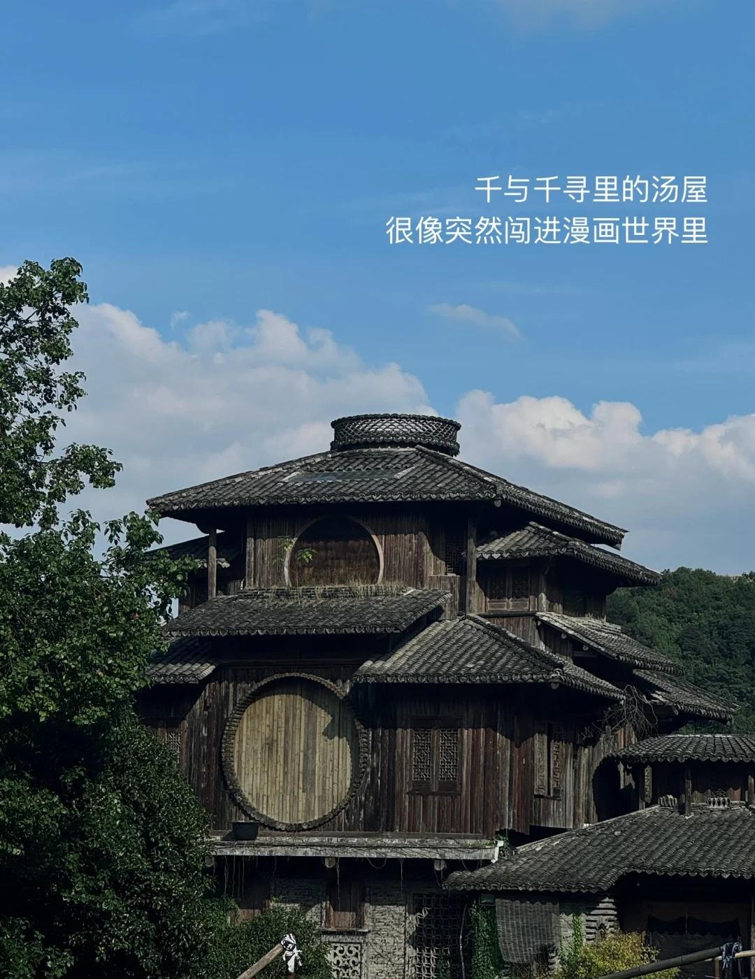 杭州满觉陇徒步赏桂🍁亲测舒服不累
杭州的秋天是桂花味的！！
🌼赏桂路线先码住