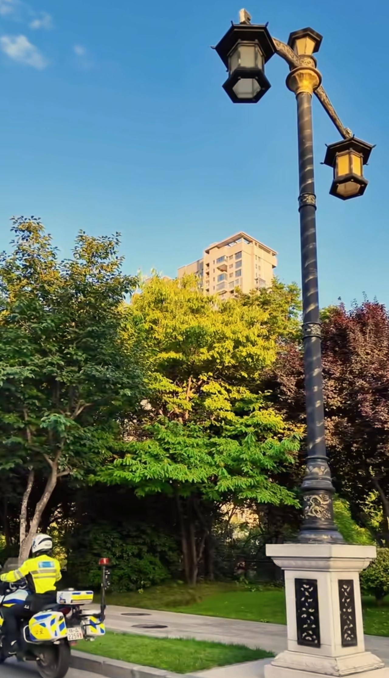西安的绿化是北方城市里最好的！
    虽然作为一个西安人说这个话会被人说是自大