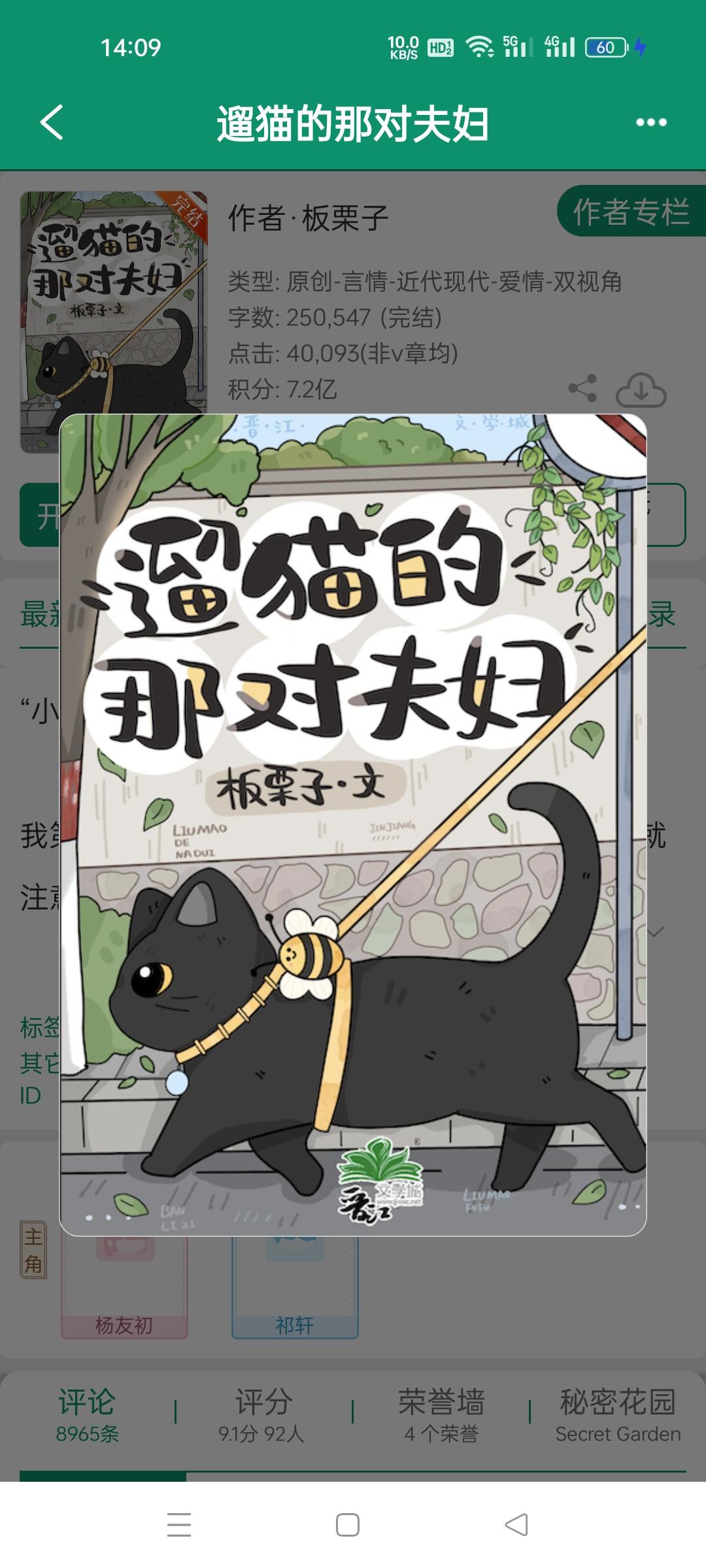 遛猫的那对夫妇，作者板栗子。