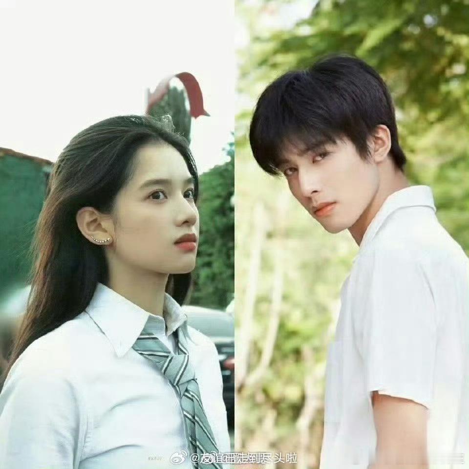 宋威龙张婧仪野狗骨头平番[酷] 一想到他两演就觉得特别好磕 ​​​