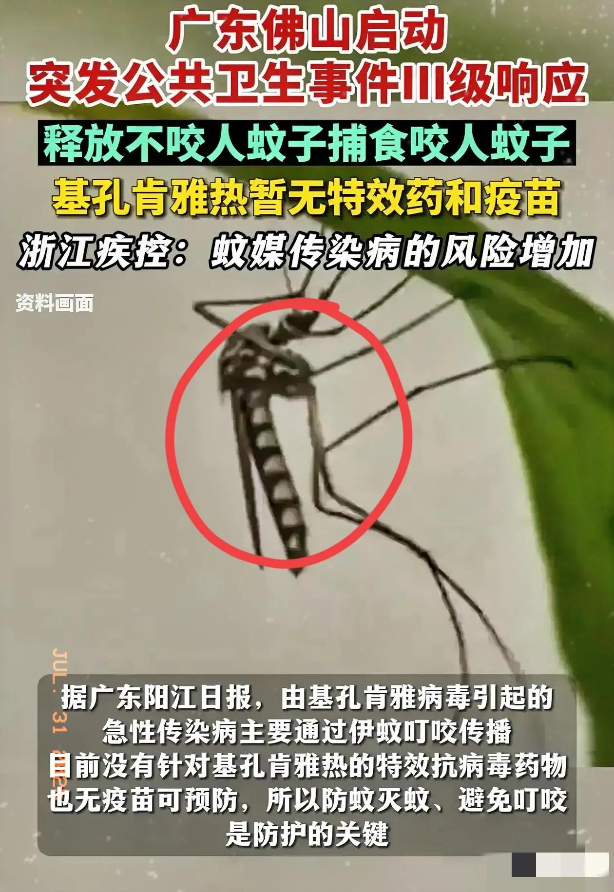 解释不清了！广东icon为了应对基孔肯雅热，中山大学icon的副教授带着学生团队