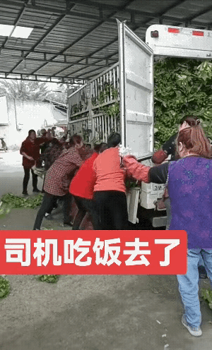 拉菜的司机吃饭去了，就来了这一波的大妈。
你说她们缺少买菜的钱吗？当然不是。道德