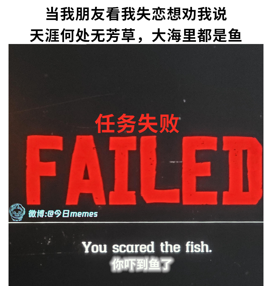 饵不行（9gag）#今日meme[超话]# #今日memes# ​​​