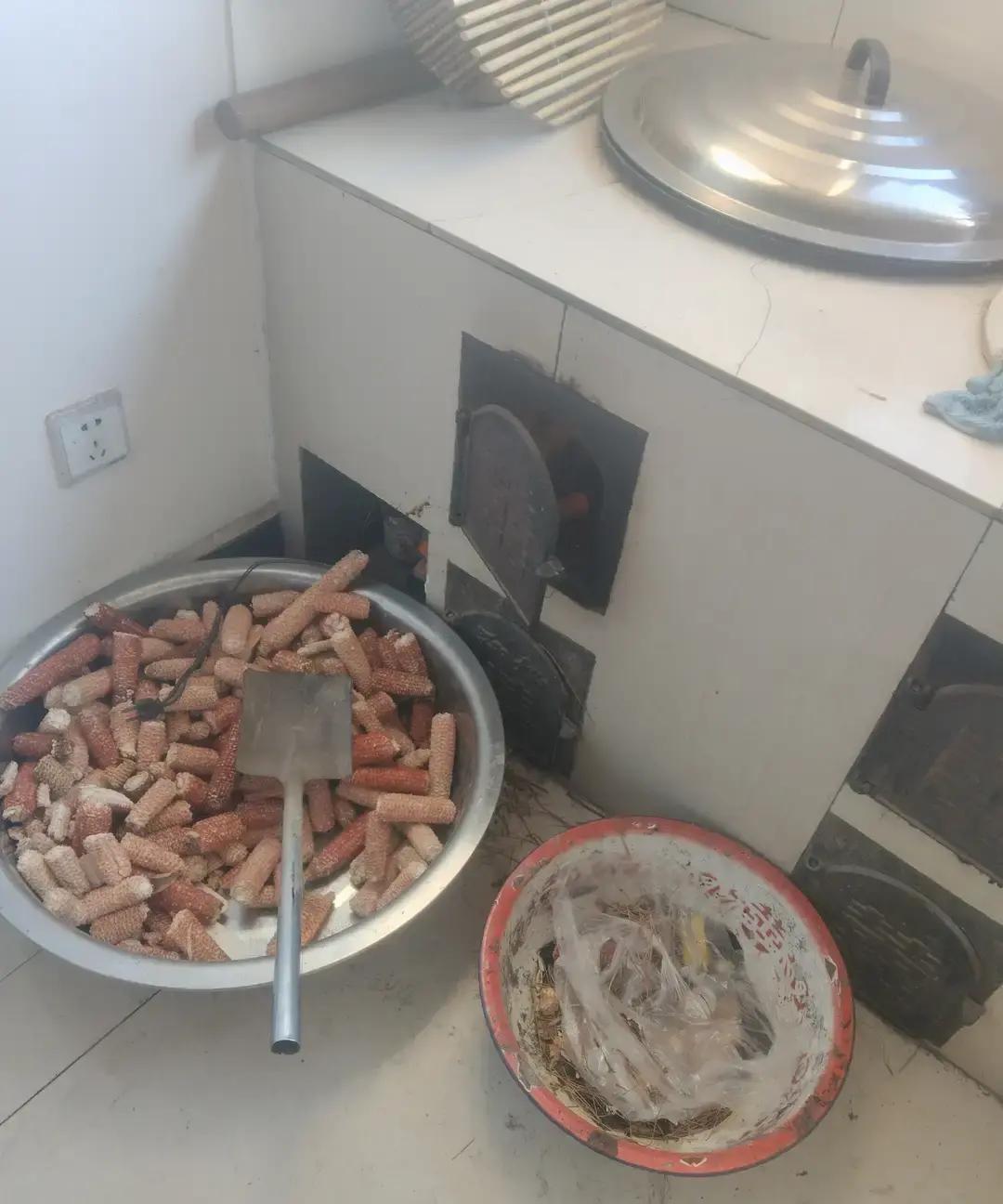 爸妈前后脚被癌症缠上，我姐像被抽了魂，进门就甩脸，爸夜里疼得哼一声她吼别吵，我守