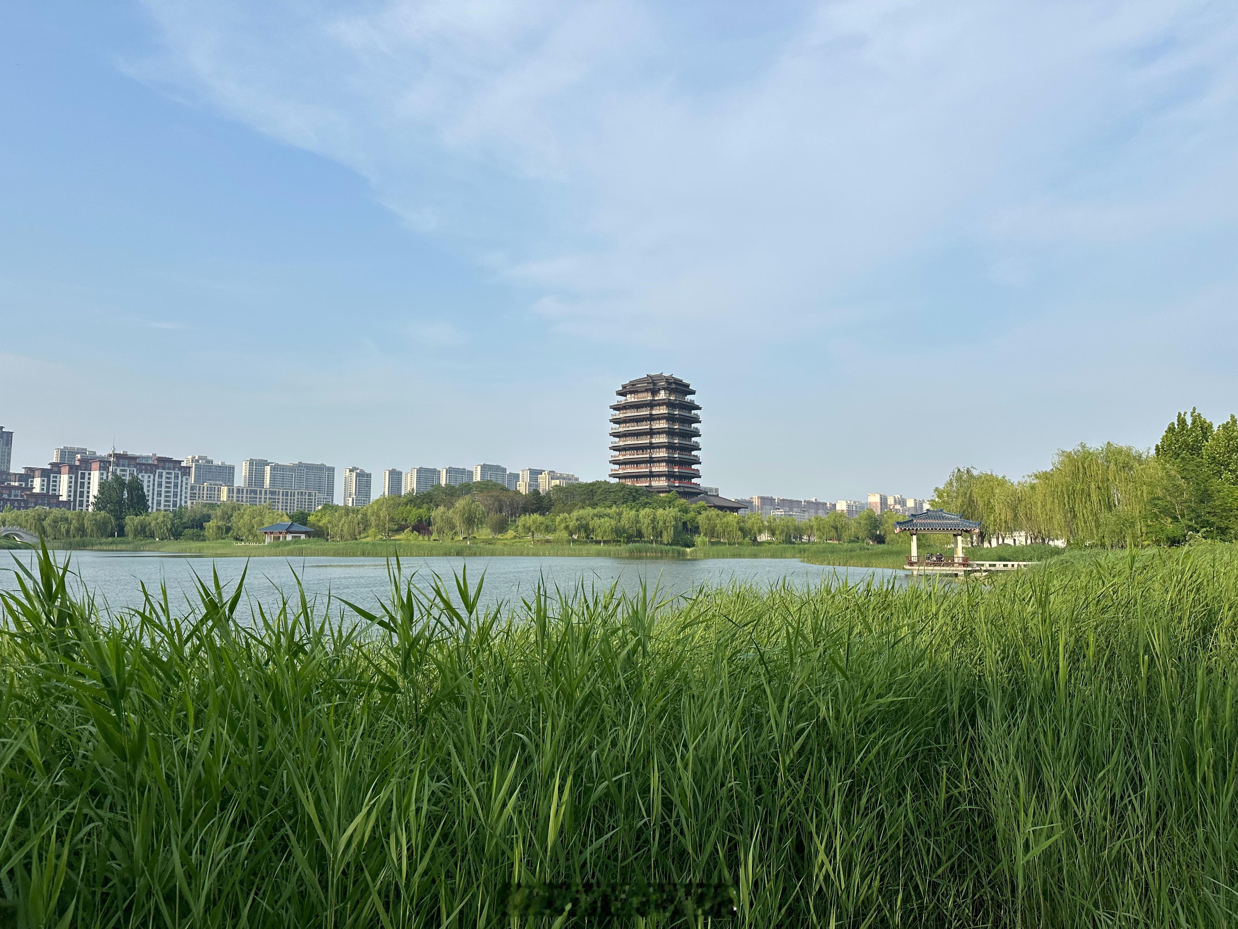 今天接待一位外地来淄博的老师，中午在张店请他吃饭。席间他好奇问我，淄博除了听说网