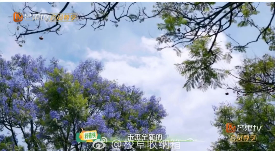 这个团只吴昕还没上papi节目 吴昕的“中古艺人团综”队友们几乎都上过papi的