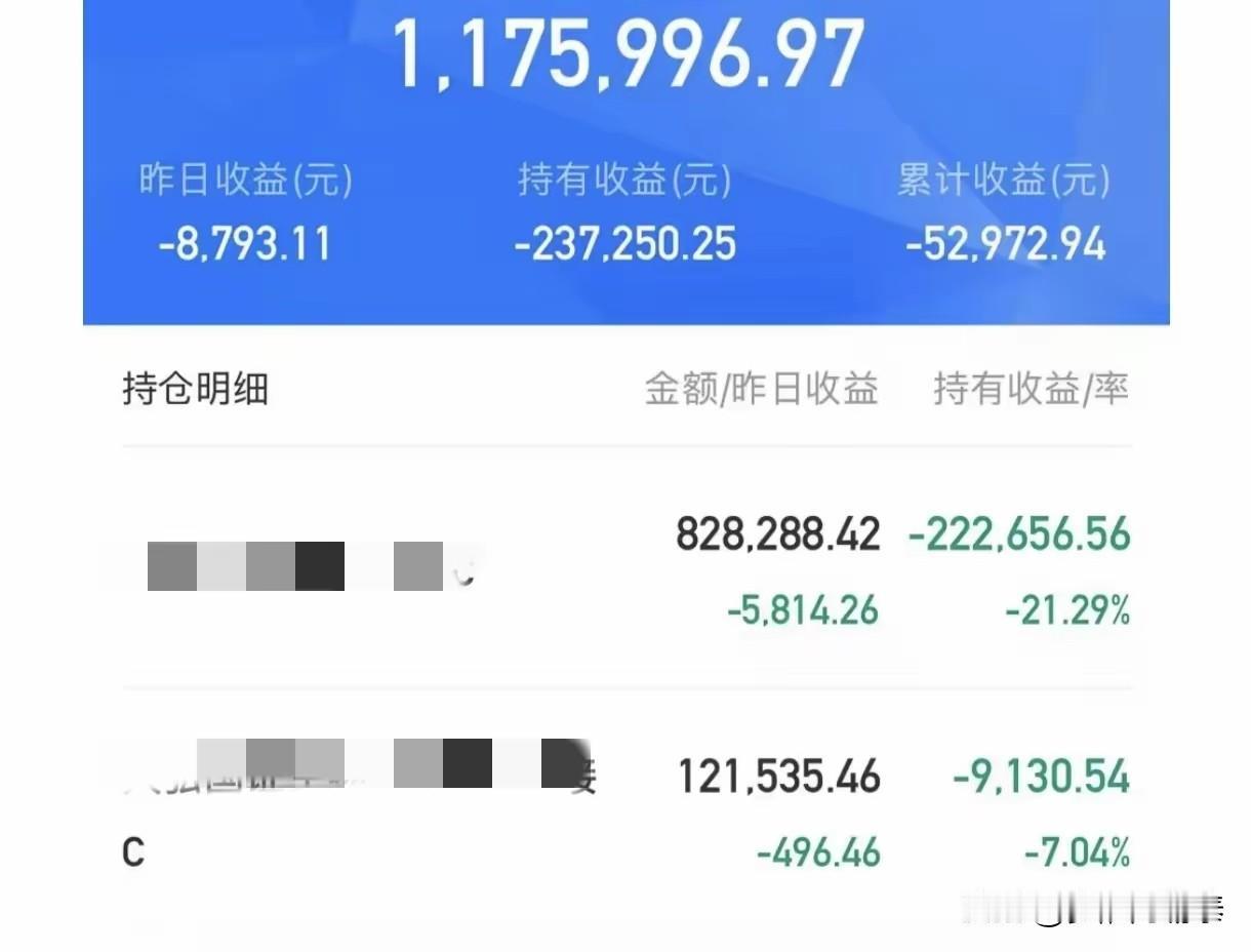 同是200万本金分两份打理，这位股民一年两种境遇太写实
 
这位股民把手里200