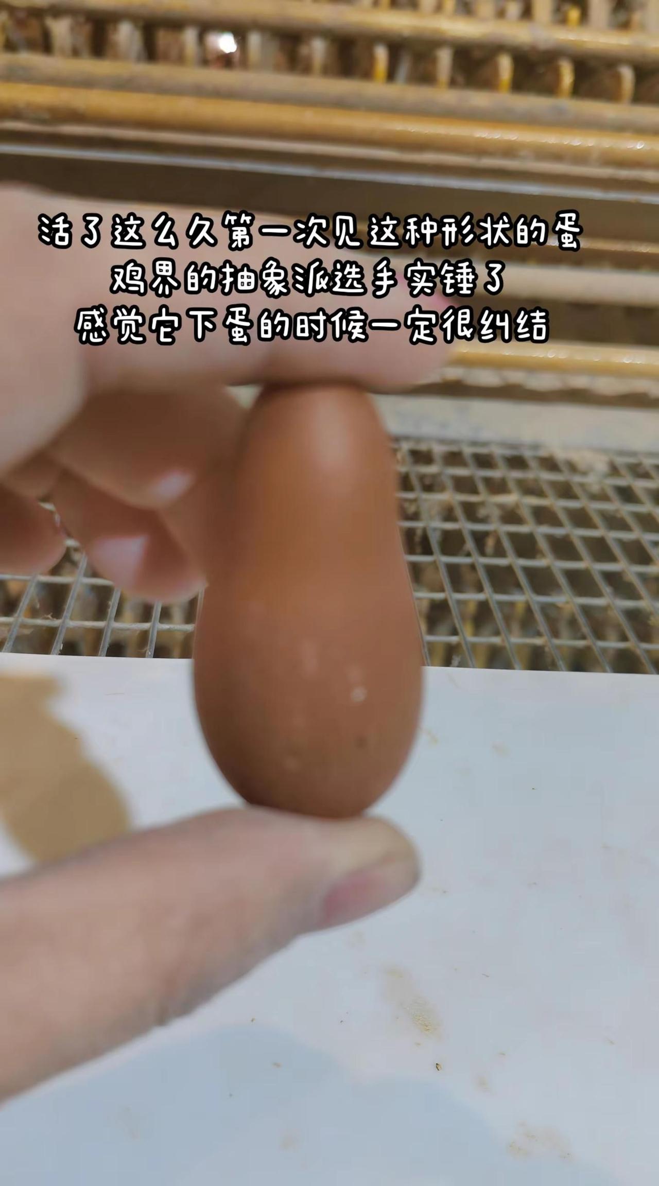 我的图片 随变ai随便玩 一般人不告诉他 你能叫出它的名字吗 这是真正的硬菜