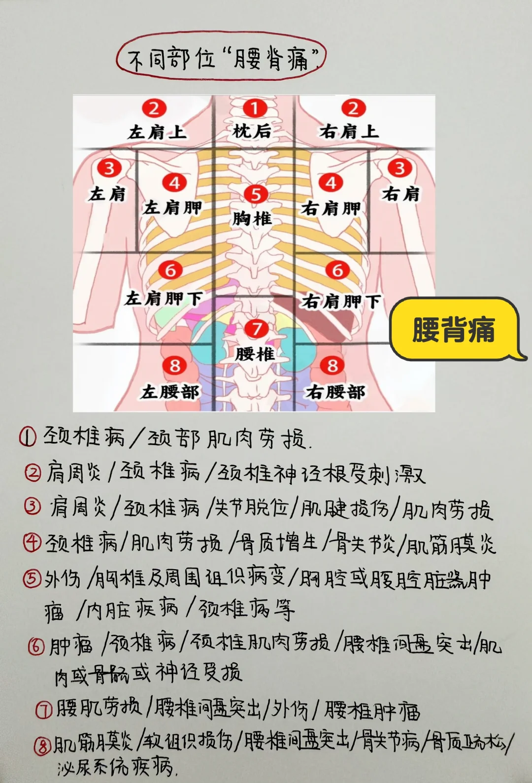 今日学习打卡——不同部位“腰背痛”