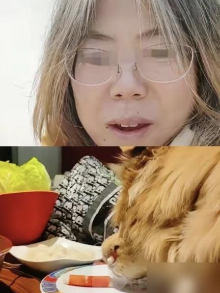 我问我妈，
​
为啥这女的要让狗上桌吃饭，
​
害得人家饭店还要赔钱？
​
这事