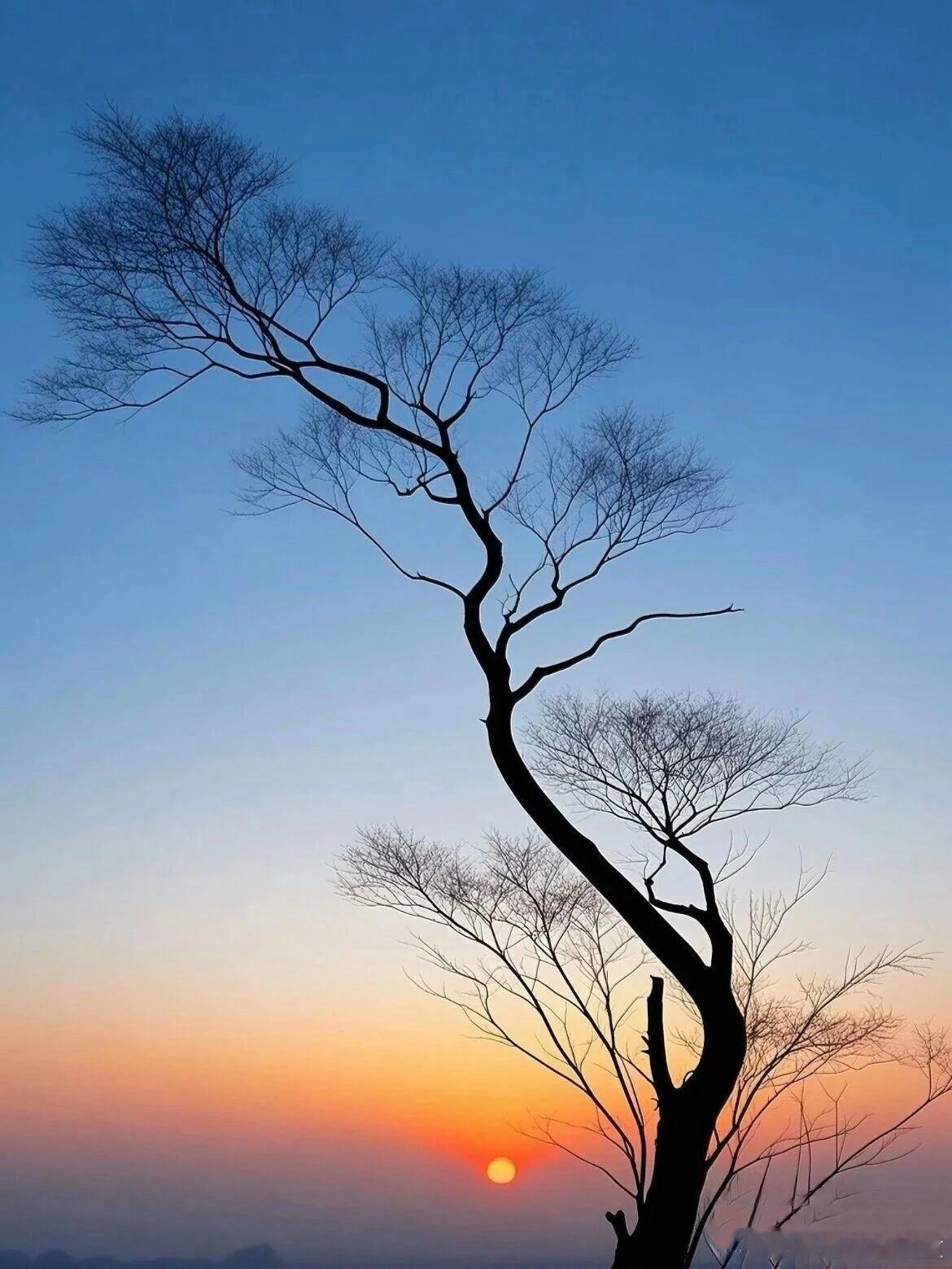 霞光灿烂  ​​​