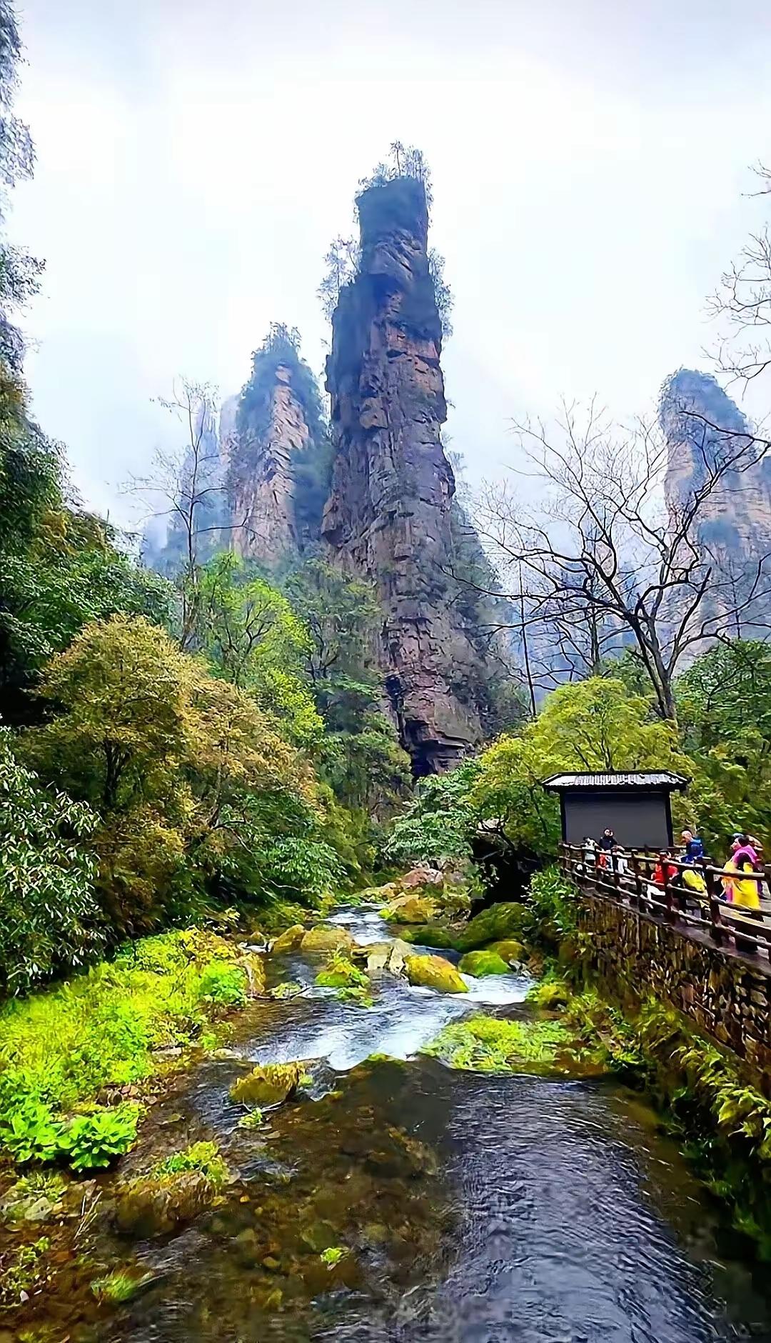 清明赋
 
时至清明，气清景明，万物皆显。烟雨润郊原，芳草接天涯，柳丝垂岸，燕语