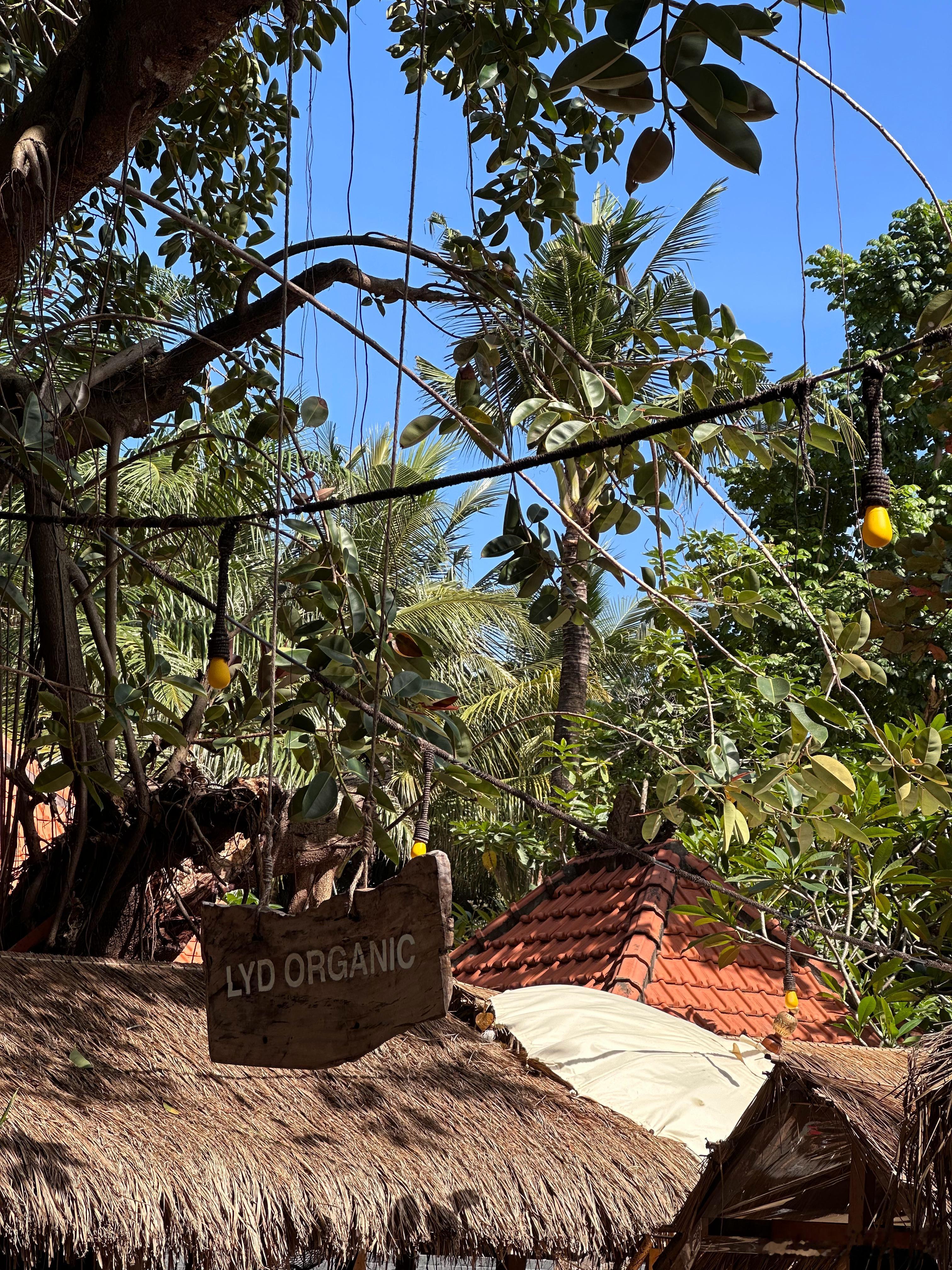 记 岛上的夏天 🍋冲浪 网球 瑜伽 工作 飞驰摩的紫色日落 泳池暴雨 接近满格
