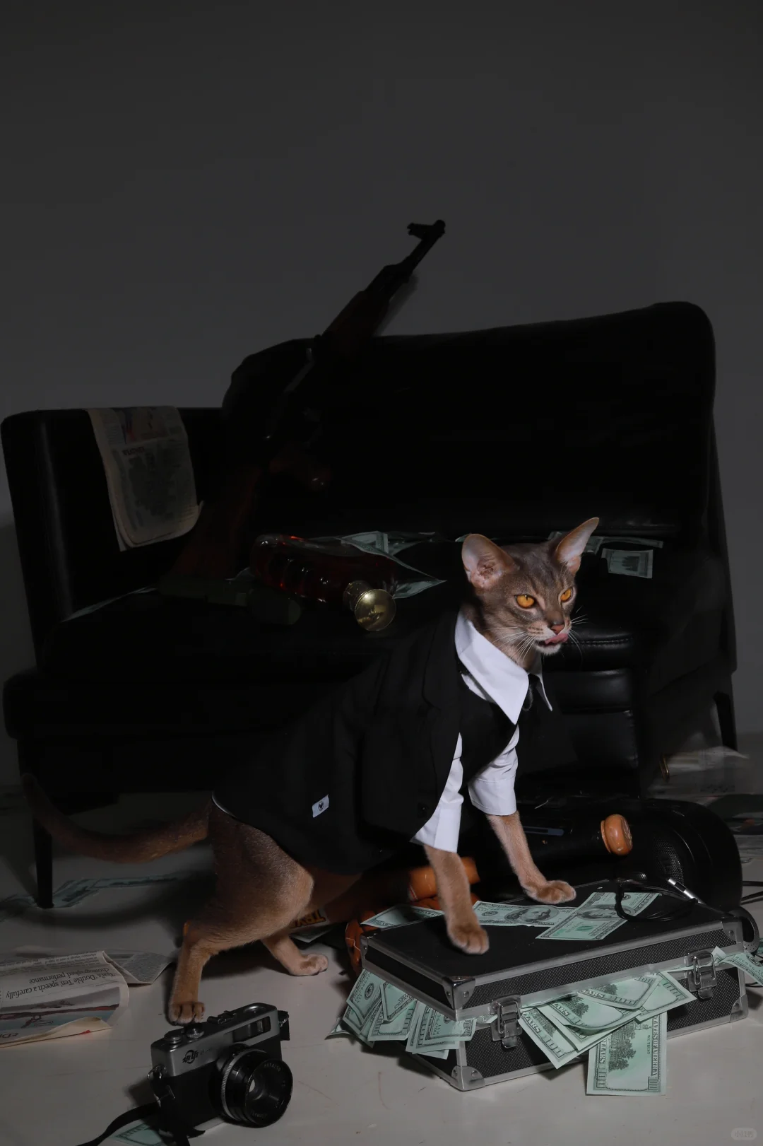 身价=R56 Cooper s n18后期款