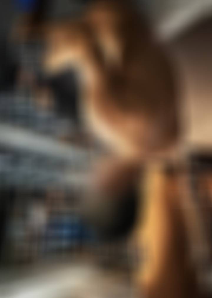 随手拍 