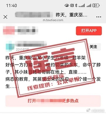 【#网民造谣巫山小学生打群架被查#】据重庆辟谣：近日，网民张某在互联网平台发布信