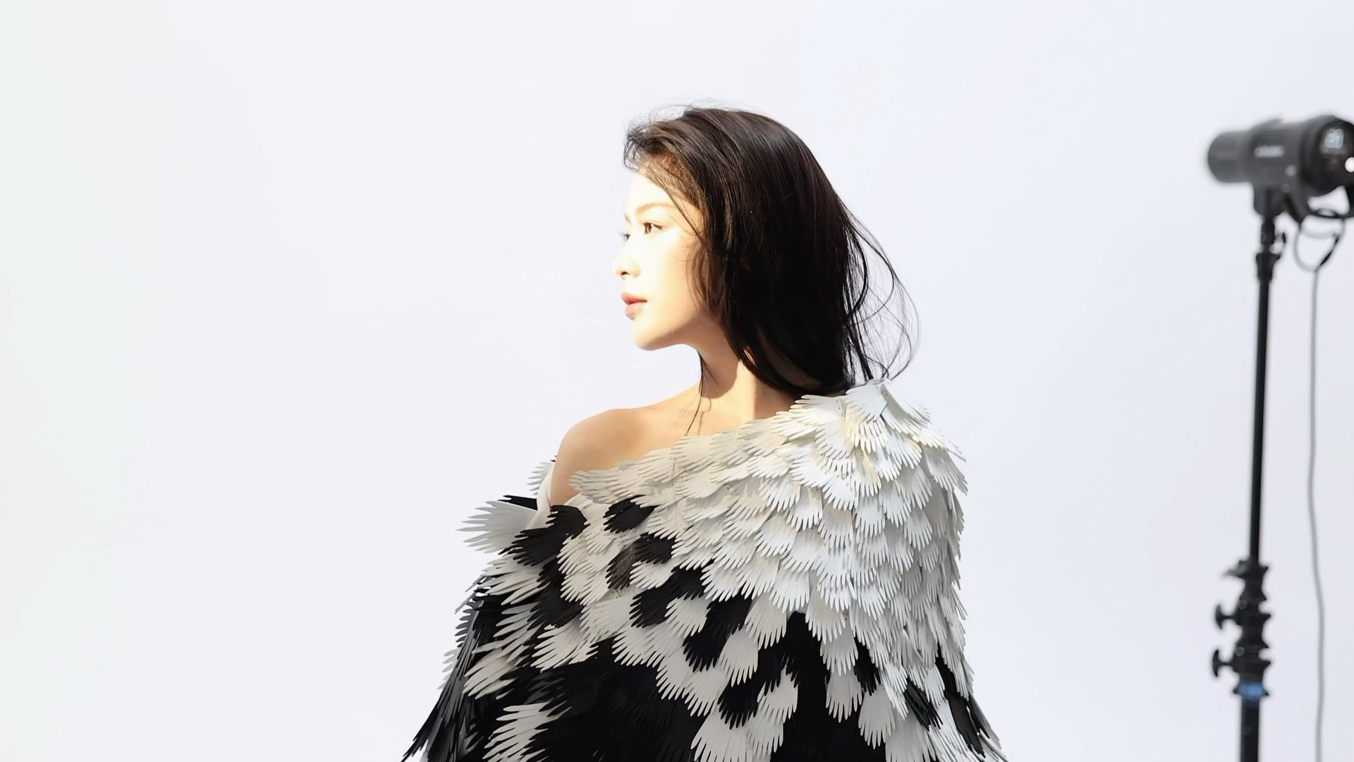 陈丽君央妈严选的含金量咔嚓——！分享预告的美丽仙鹤新鲜的陈丽君好美陈丽君央妈严选