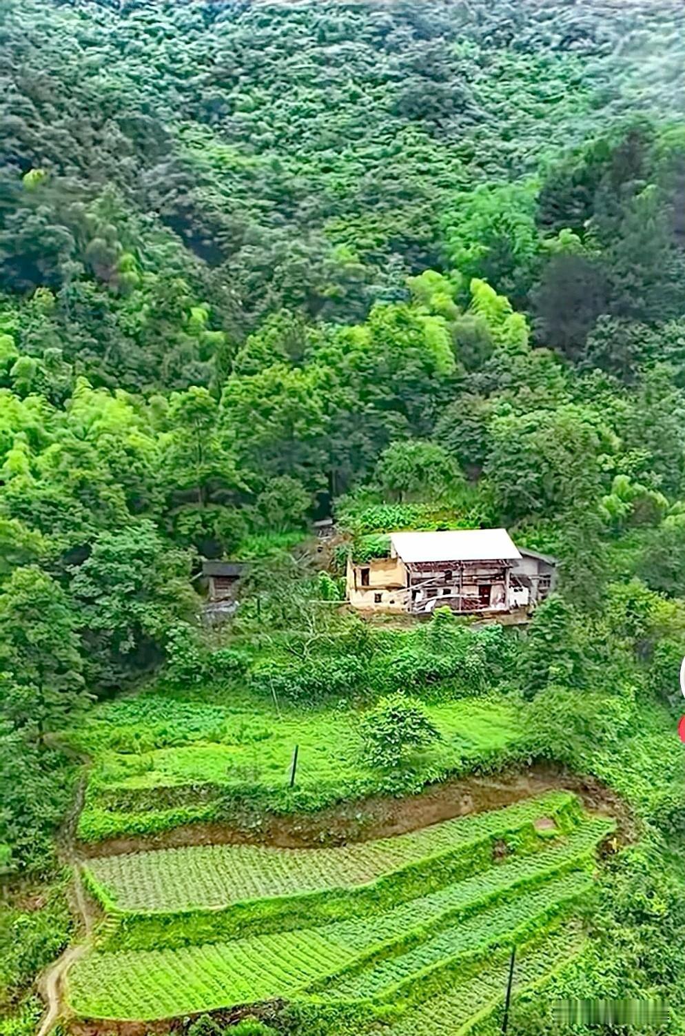 分享乡村美景图片大山下的独屋人家，种着几亩田地自足自给，过着与世隔绝的生活，
