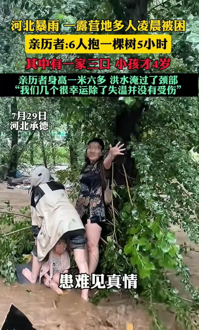 河北承德，几家人一起去露营，遇到下雨被洪水困住，六个人就一起抱着那棵树，长达五个