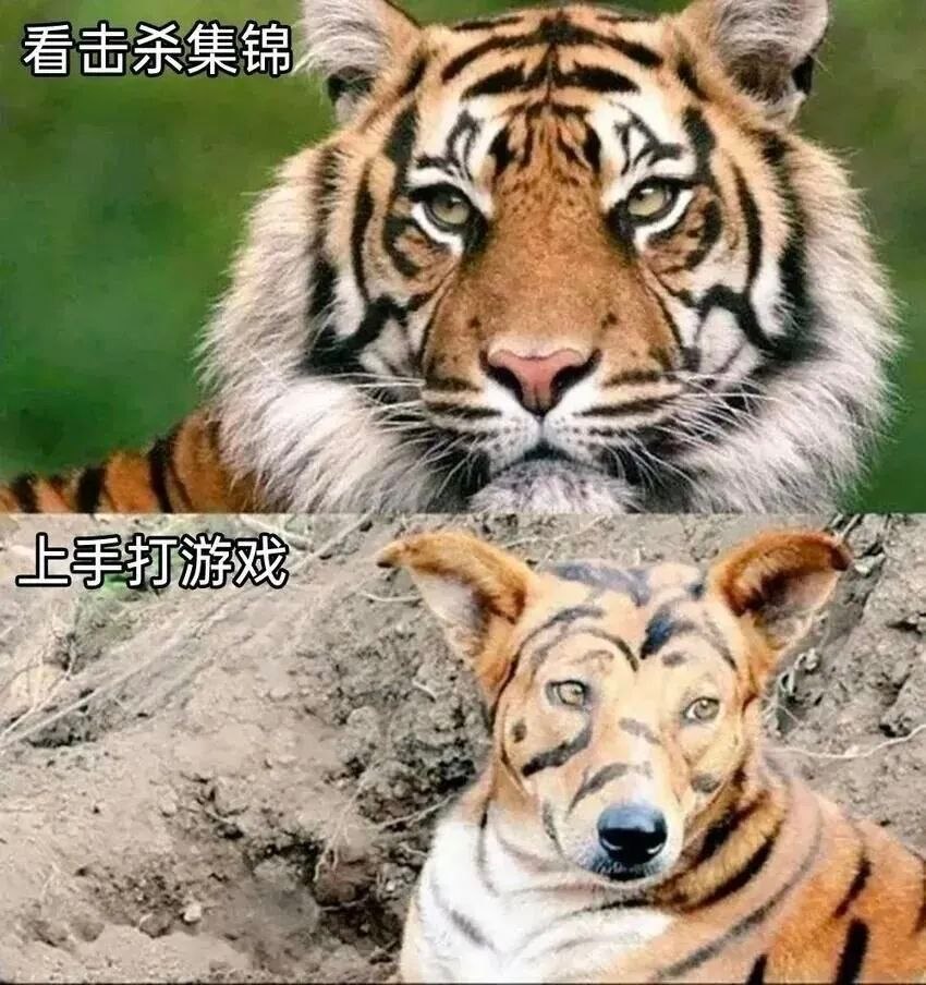 上号，我现在强得可怕 