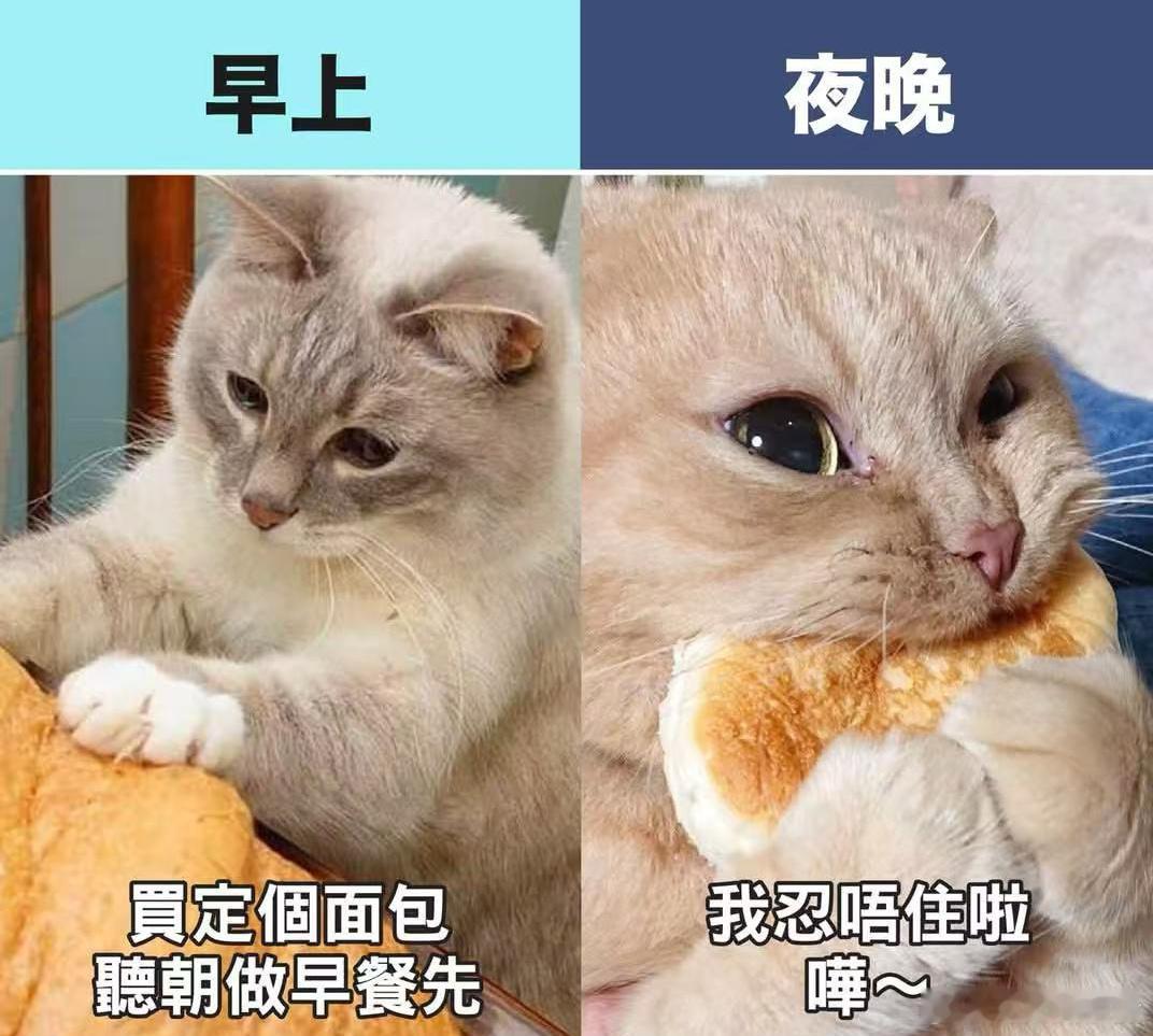 是谁大半夜又饿了？  