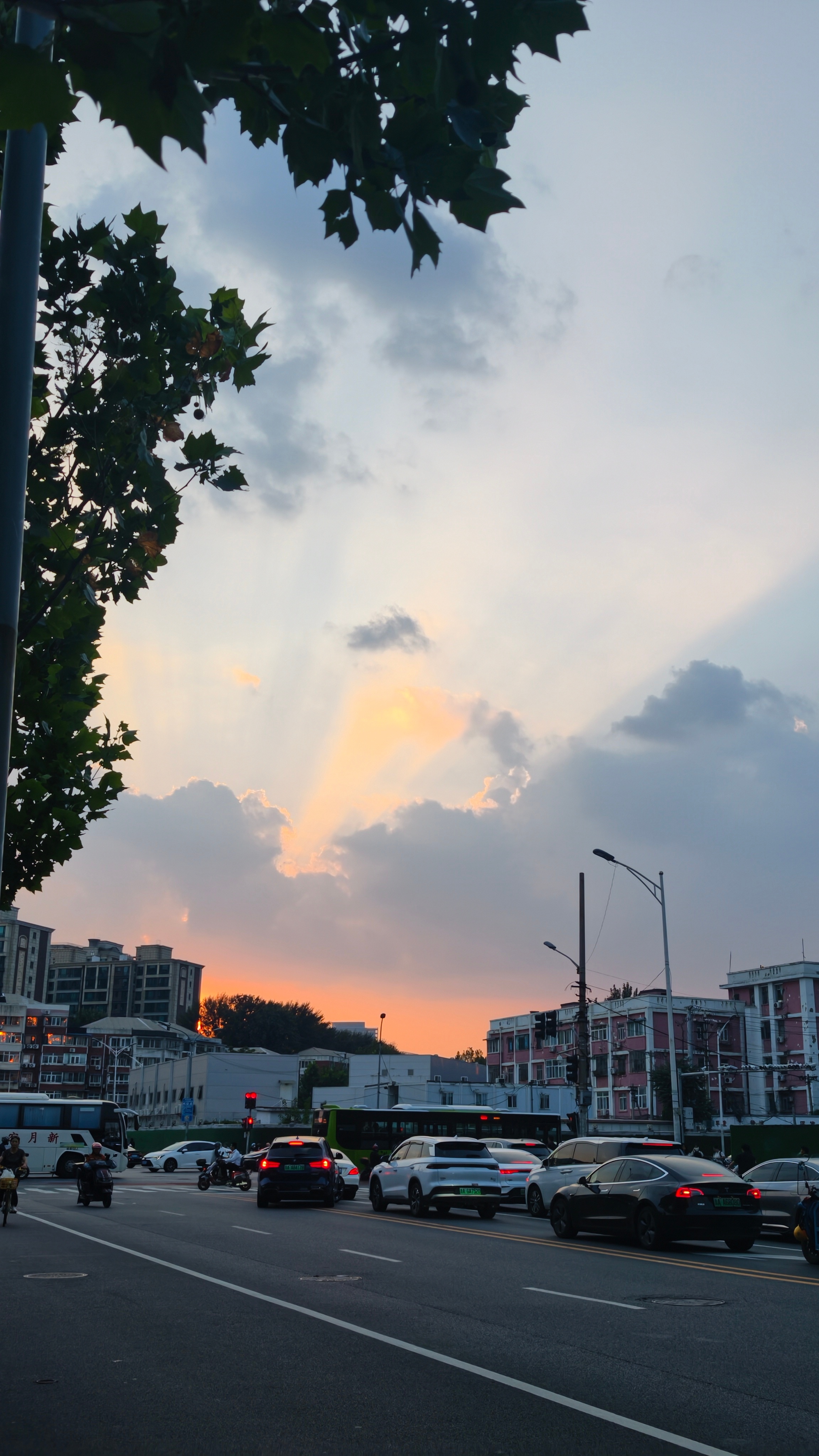 只是个七夕节，咋就堵车这么严重