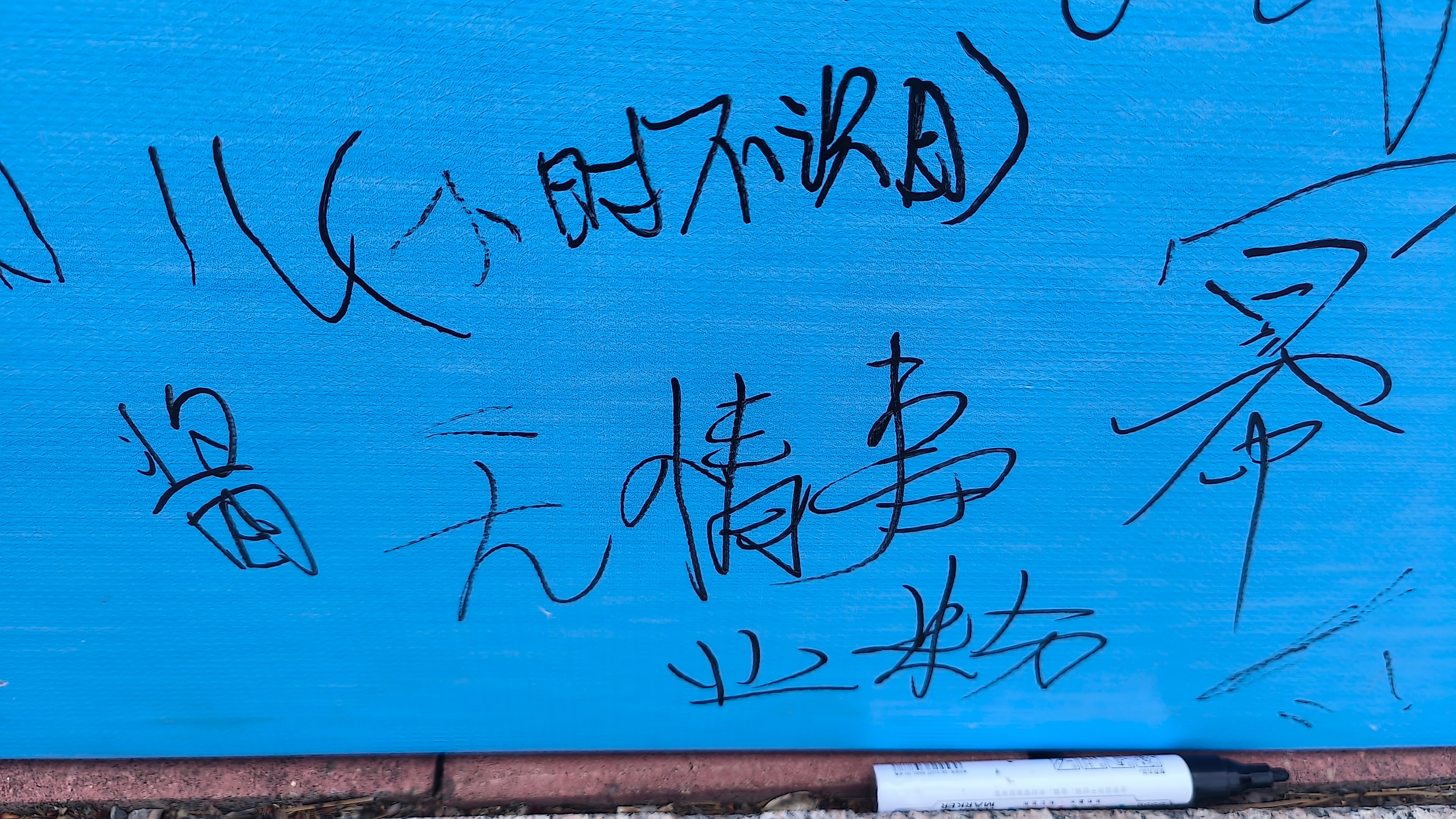 不管了我也去了