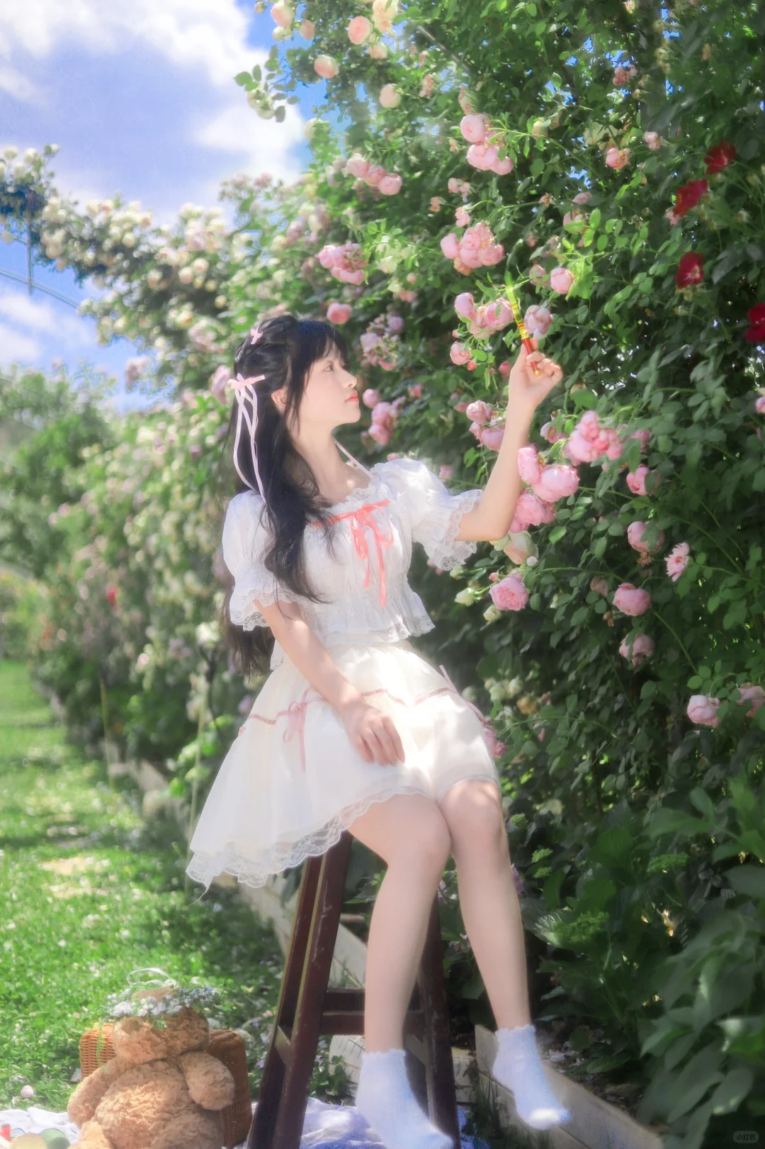 漫漫无尽夏｜昆明五月的蔷薇真的谁拍谁好看