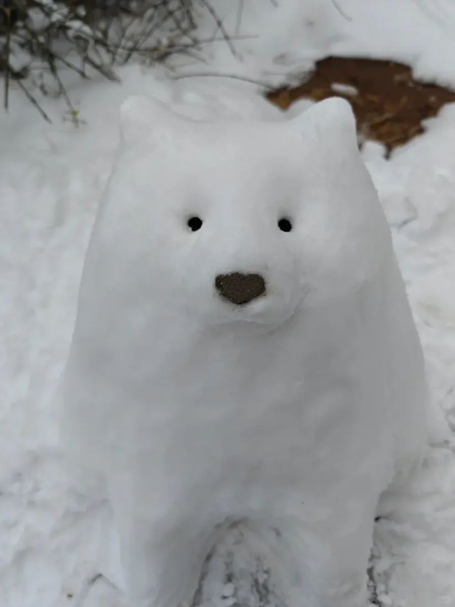 你的城市，这个冬天有没有下雪🌨️