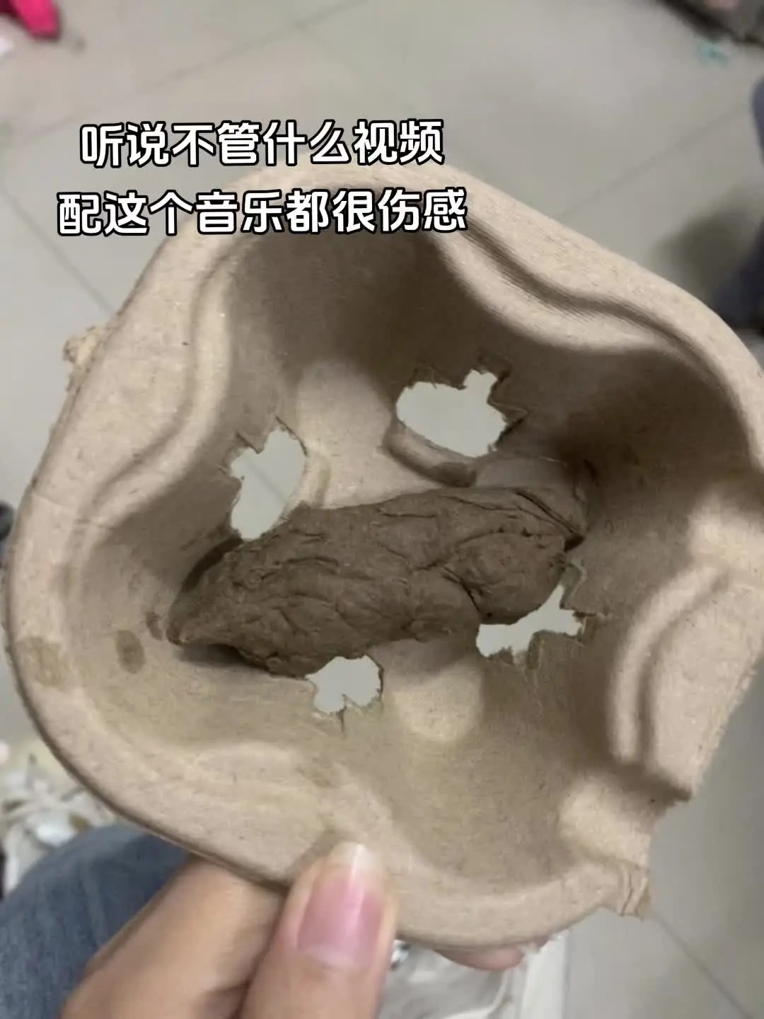 你室友会徒手捏答辩嘛
