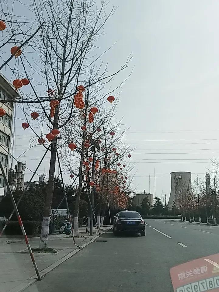 晒一晒蓝天白云下的景色年就这样过去了，一切恢复正常了。